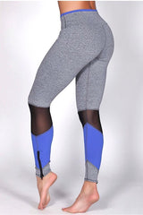 Protokolo Reprogram Grey/Electric Blue Leggings 2939