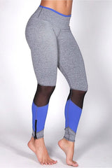 Protokolo Reprogram Grey/Electric Blue Leggings 2939